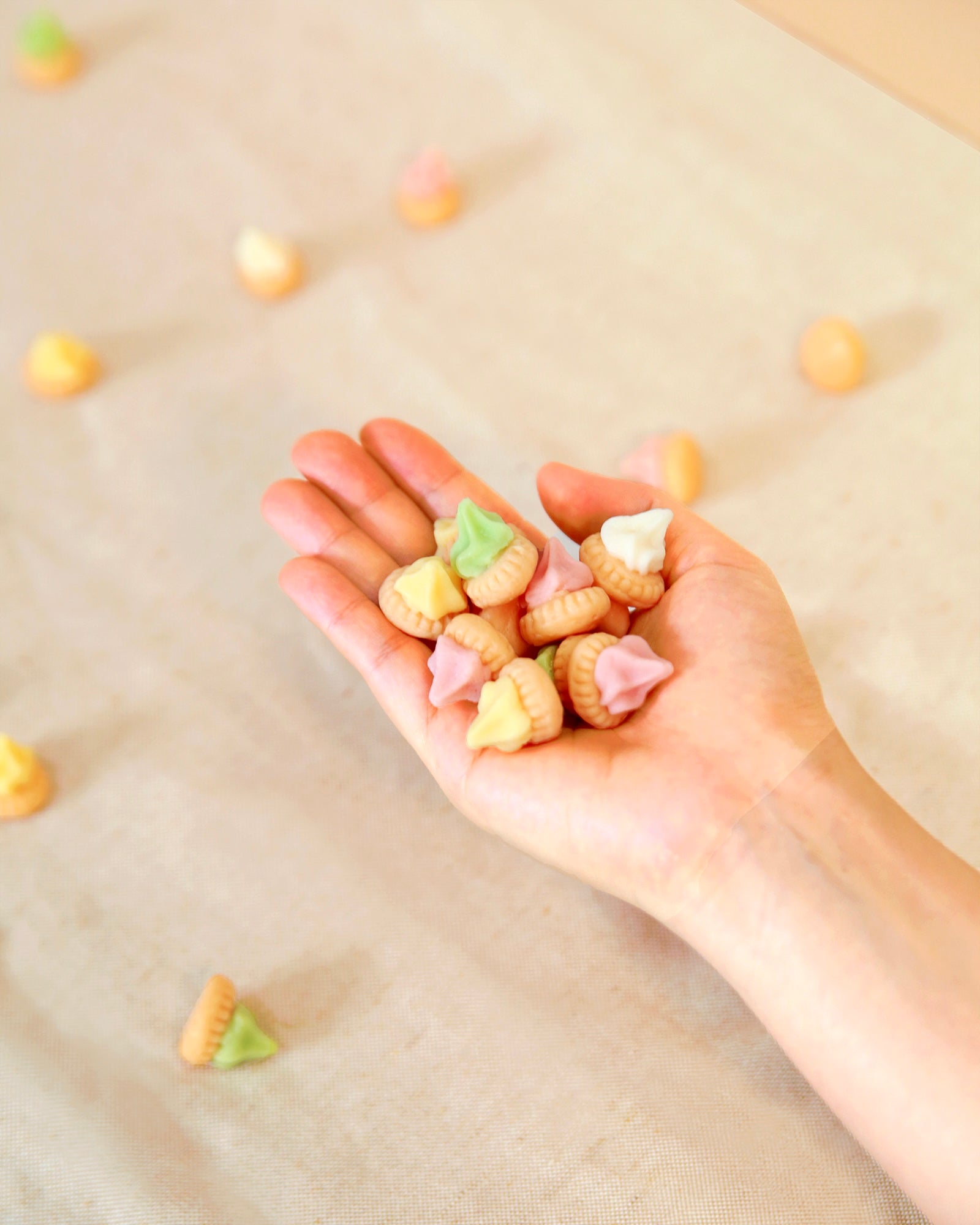 Iced Gem Biscuit Soap Set