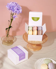 Macaron Soap Box Set - Clean Folks Club